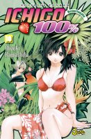 Ichigo 100 Vol10.jpg